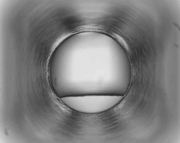 X0000094211435200710260924