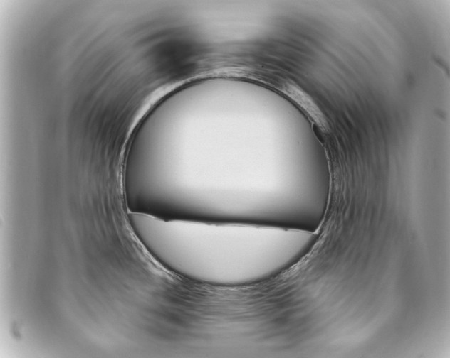 X0000094211436200710260924
