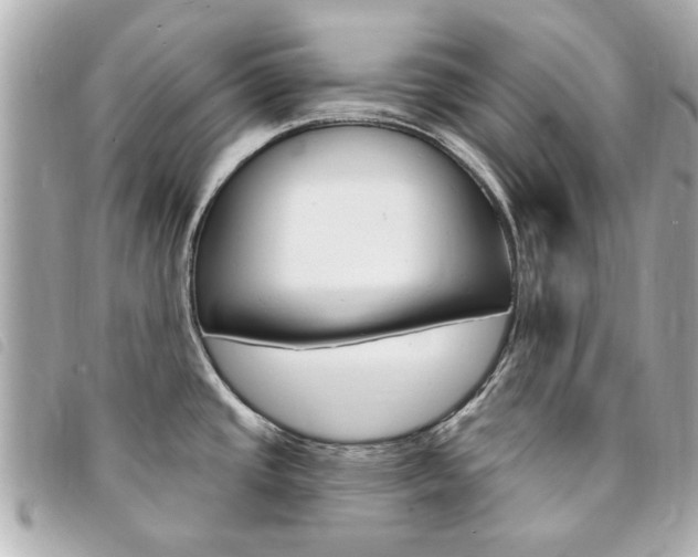 X0000094211437200710260924