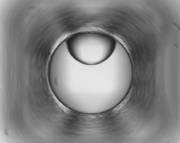 X0000094211438200710260924