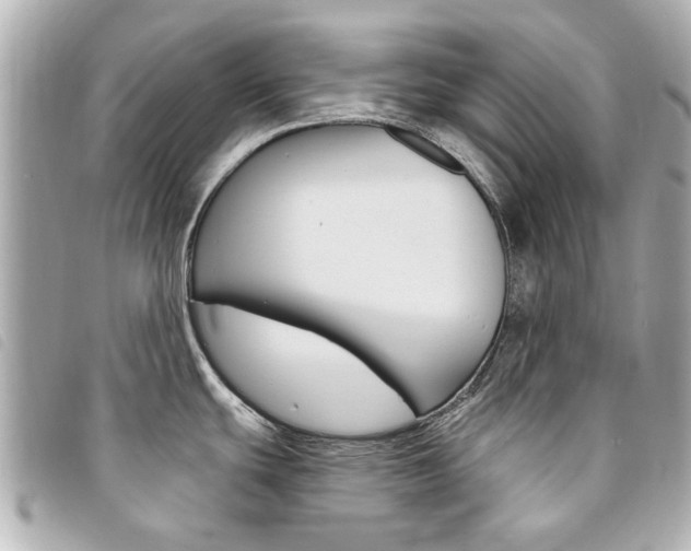 X0000094211439200710260924