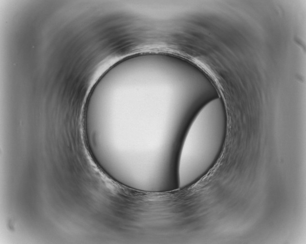 X0000094211440200710260924