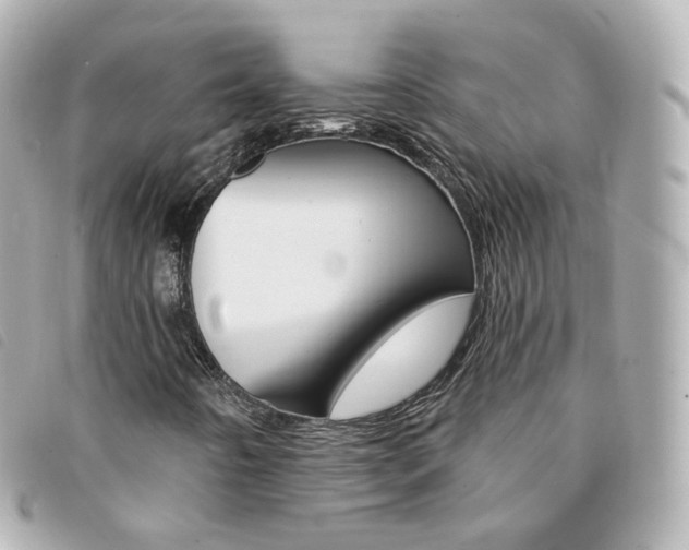 X0000094211442200710260923