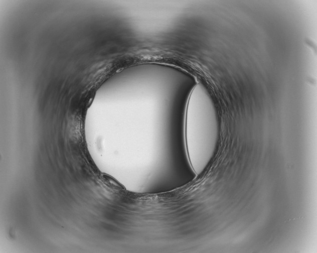 X0000094211444200710260923