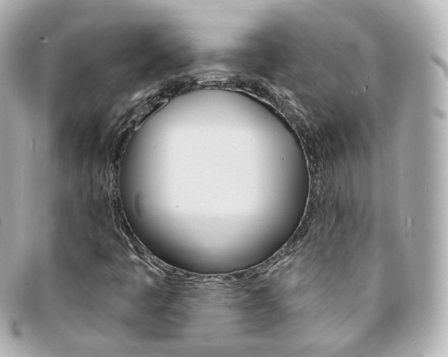 X0000094211445200710260923