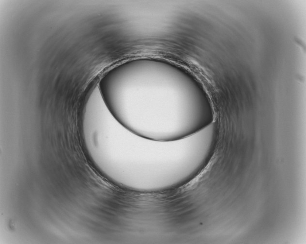 X0000094211449200710260923
