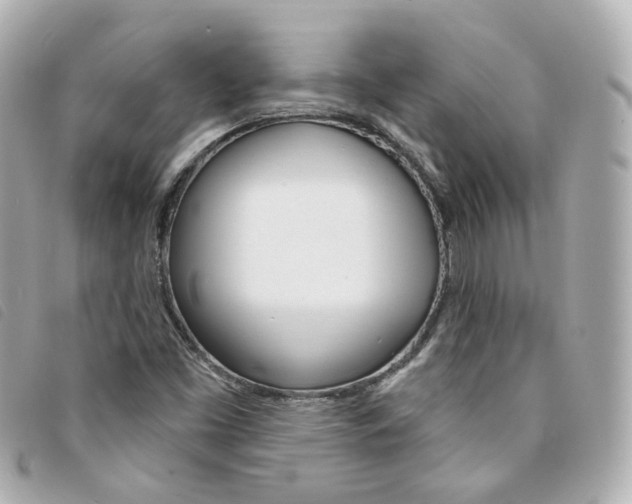 X0000094211453200710260923