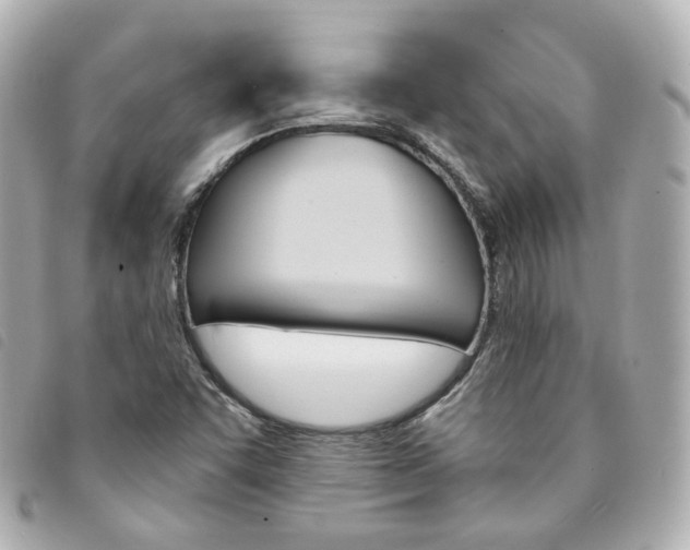 X0000094211455200710260923