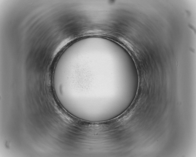 X0000094211458200710260923