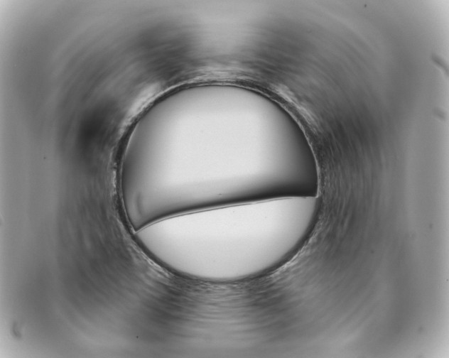 X0000094211459200710260923