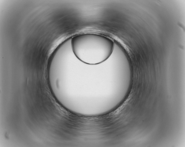 X0000094211461200710260923