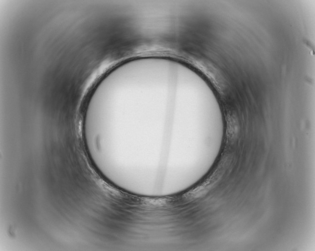 X0000094211462200710260923