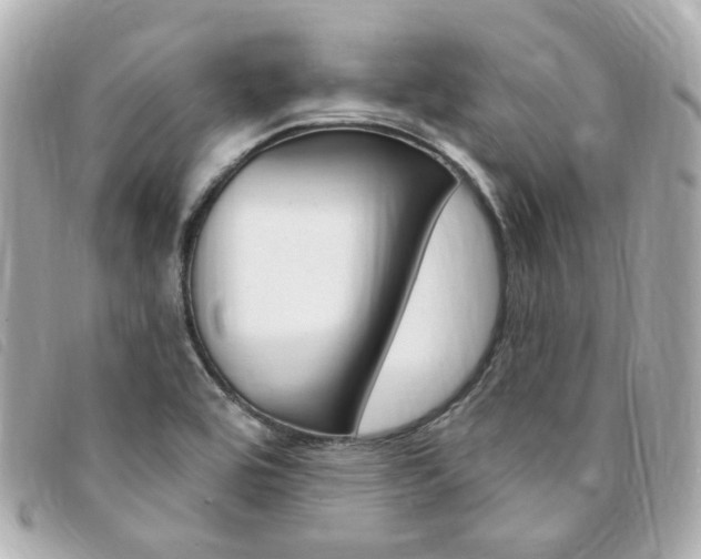 X0000094211464200710260923