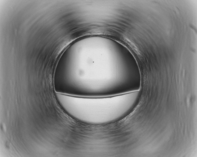 X0000094211465200710260923