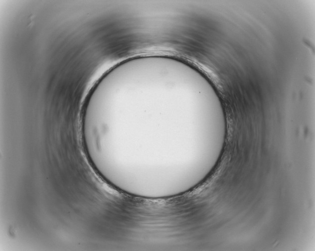 X0000094211470200710260923