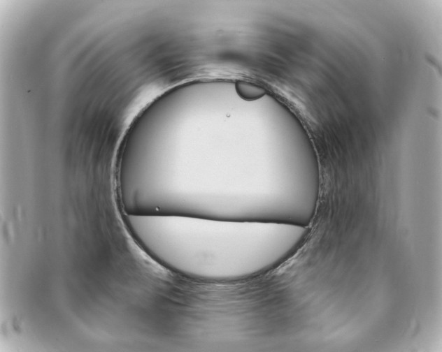 X0000094211471200710260923