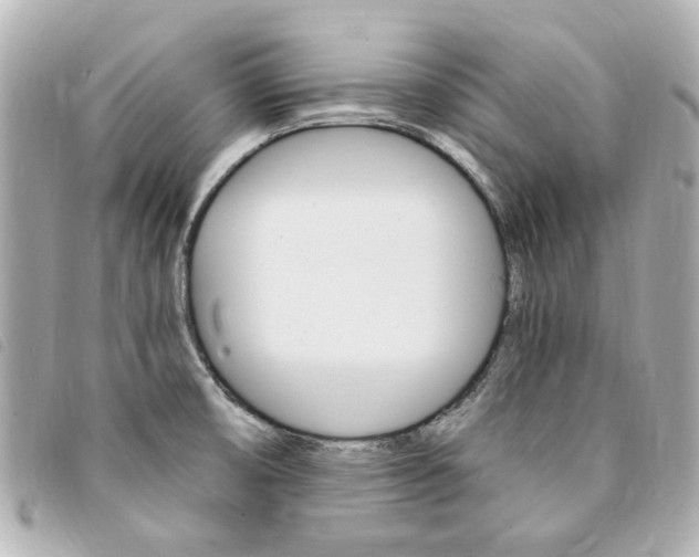 X0000094211474200710260923