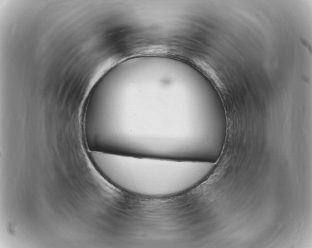 X0000094211475200710260923