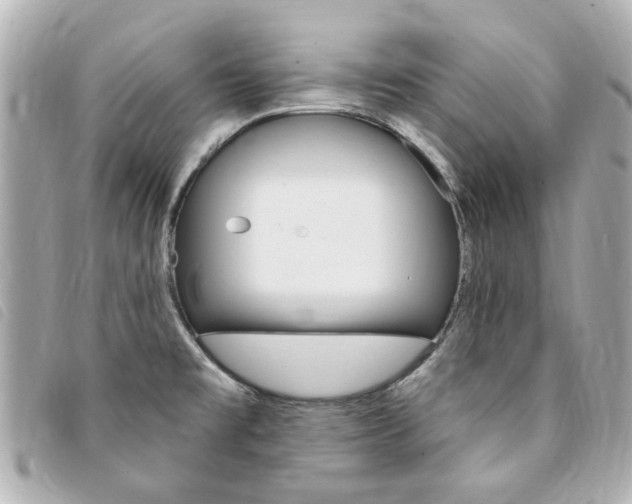 X0000094211477200710260923