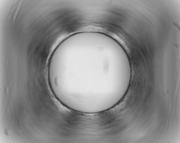 X0000094211478200710260923