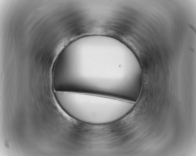 X0000094211479200710260923