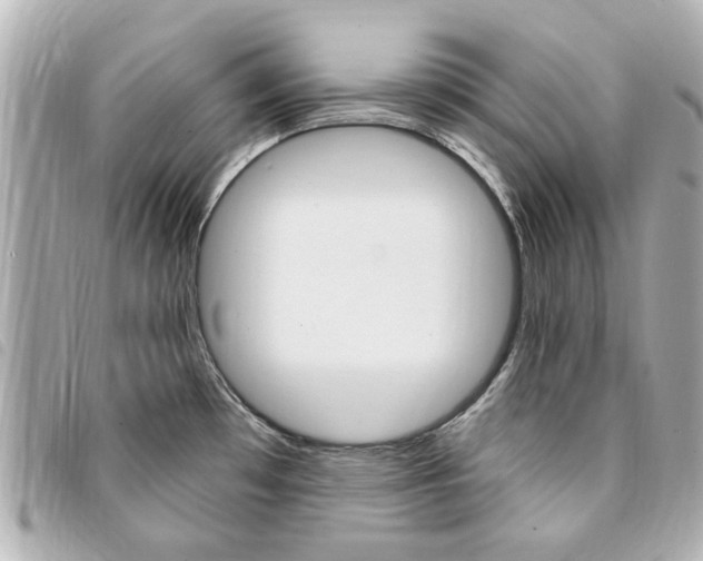 X0000094211481200710260923
