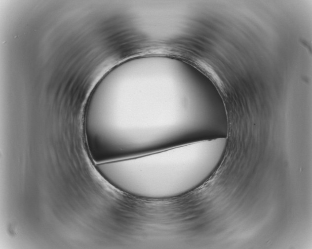 X0000094211483200710260923