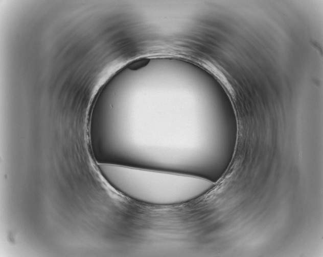 X0000094211485200710260923