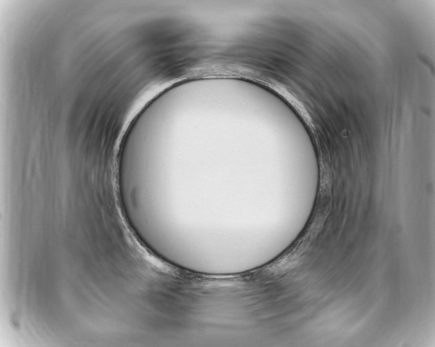 X0000094211486200710260923