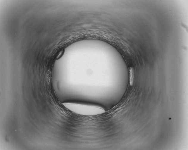 X0000094211491200710260922