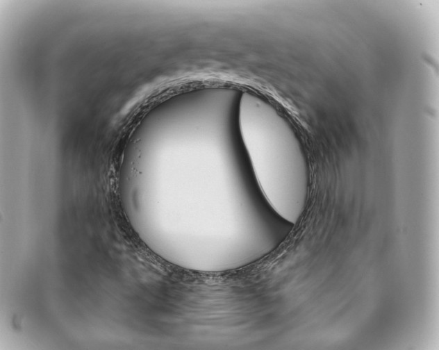 X0000094211495200710260922