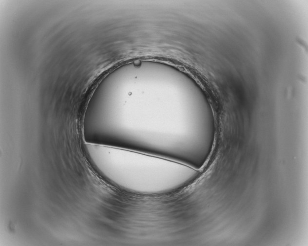X0000094211497200710260922