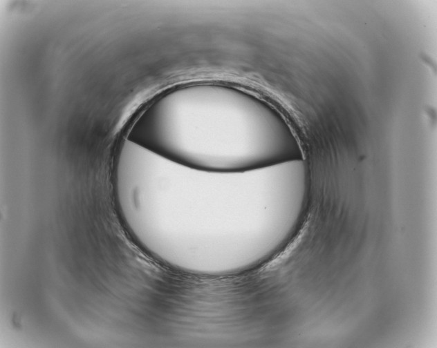 X0000094211501200710260922