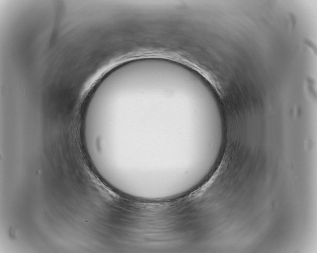 X0000094211502200710260922