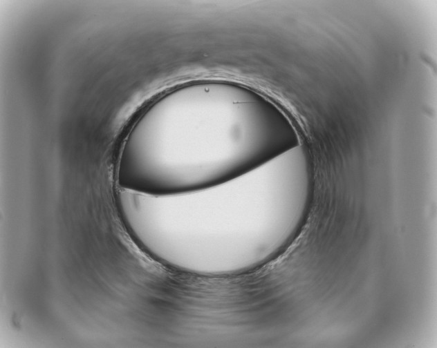 X0000094211503200710260922
