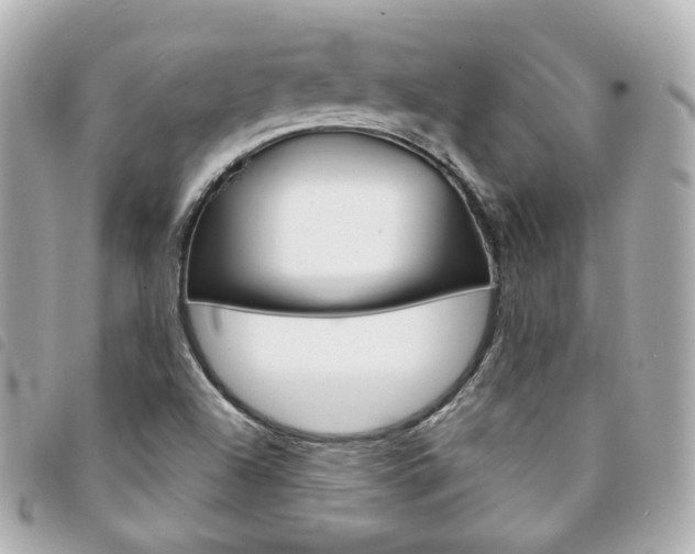 X0000094211504200710260922