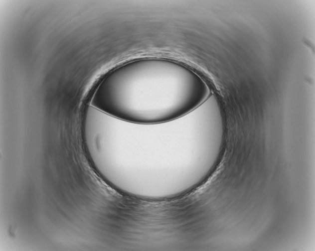 X0000094211506200710260922