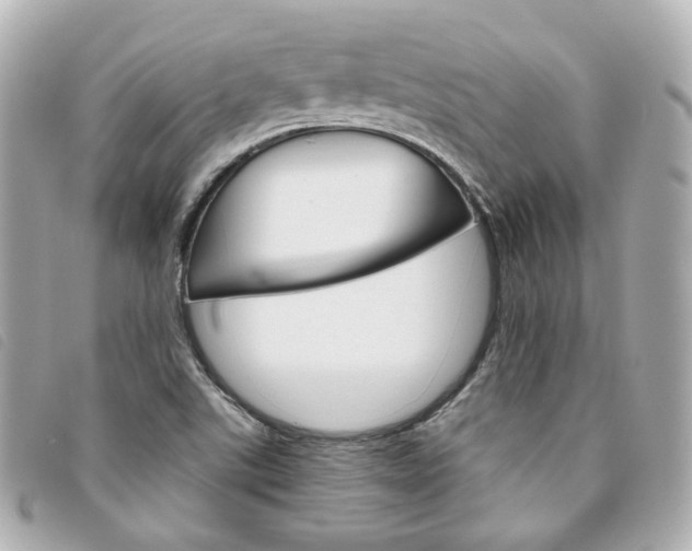 X0000094211507200710260922
