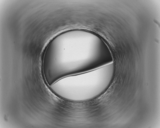 X0000094211508200710260922