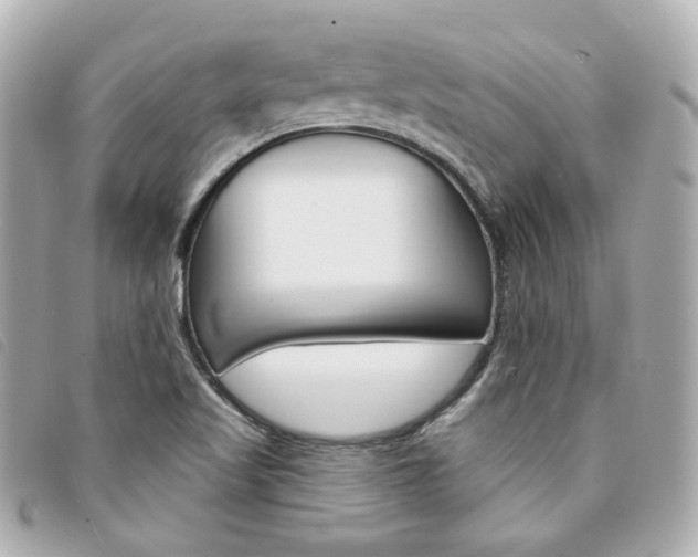 X0000094211509200710260922