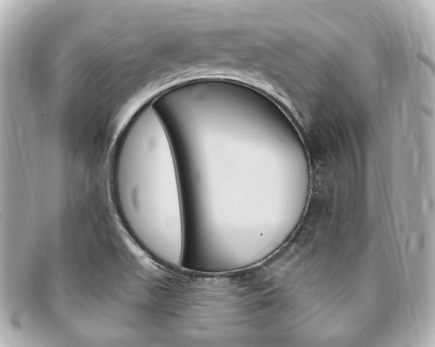 X0000094211511200710260922
