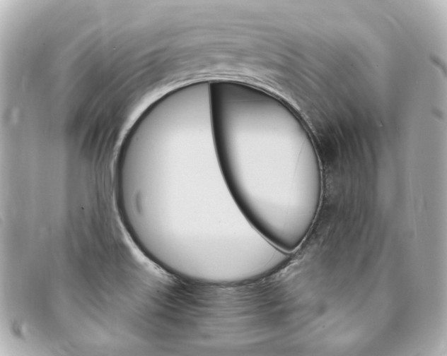 X0000094211515200710260922