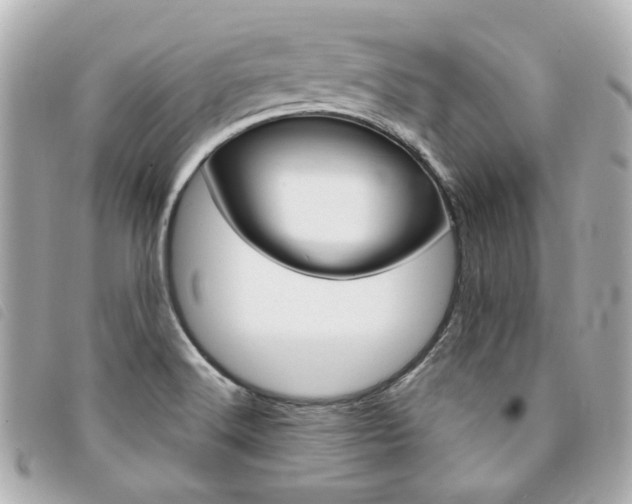 X0000094211516200710260922