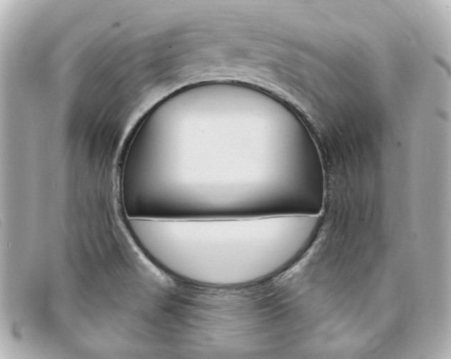 X0000094211517200710260922