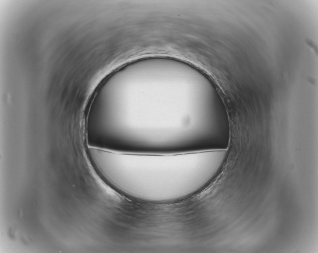X0000094211519200710260922
