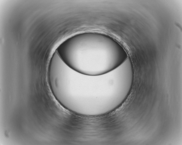 X0000094211520200710260922