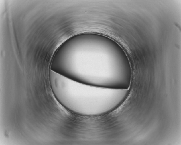 X0000094211521200710260923