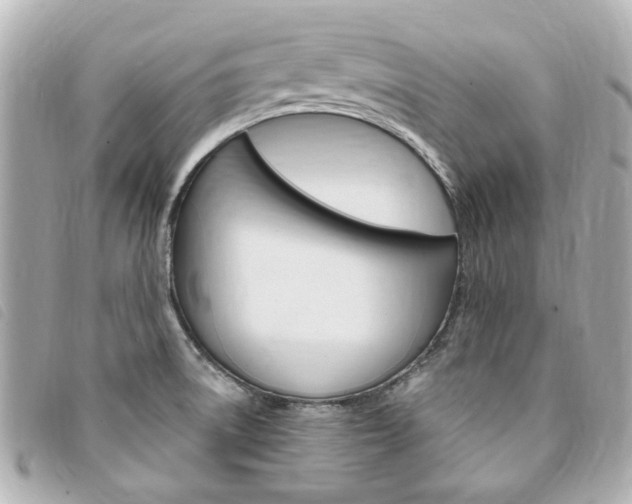 X0000094211522200710260923