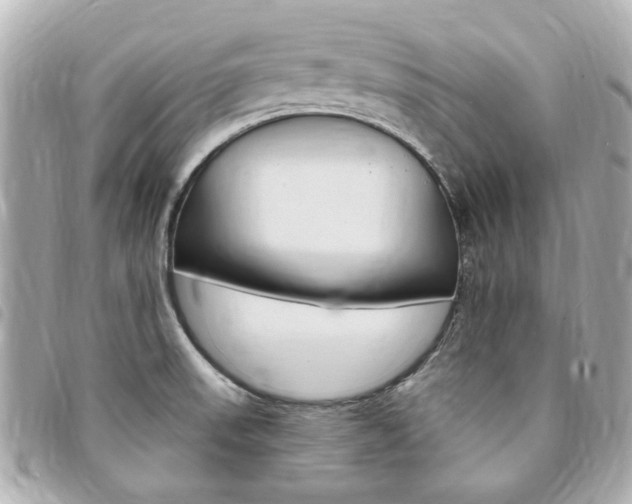 X0000094211523200710260923
