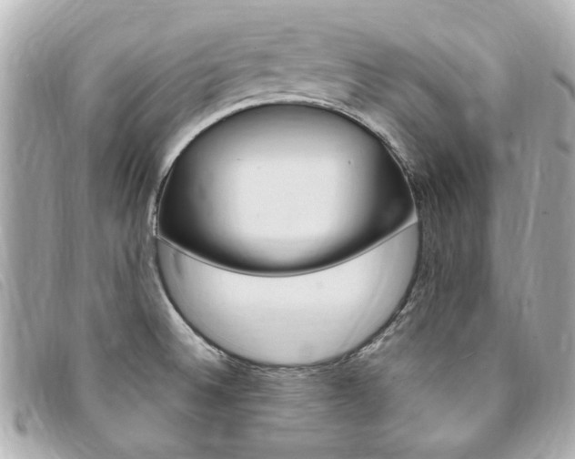 X0000094211524200710260923